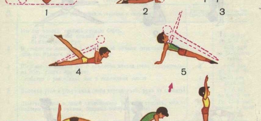 Базовые элементы спортивной акробатики для начинающих⁚ путь к успеху 3 Базовые элементы спортивной акробатики для начинающих⁚ путь к успеху