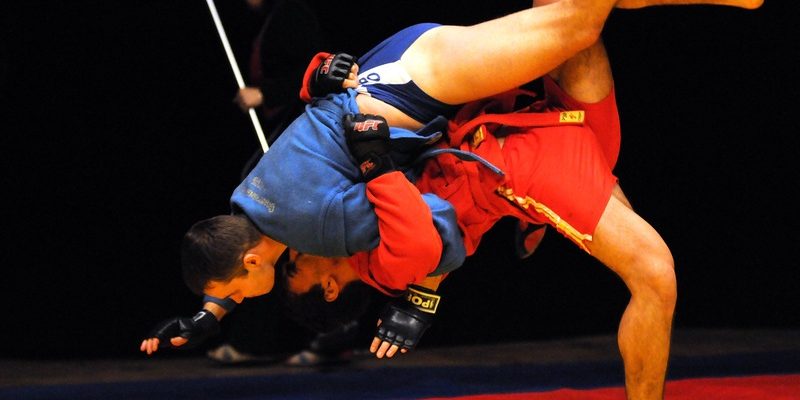 Болевые и удушающие приемы в самбо⁚ Полное руководство для начинающих и опытных спортсменов