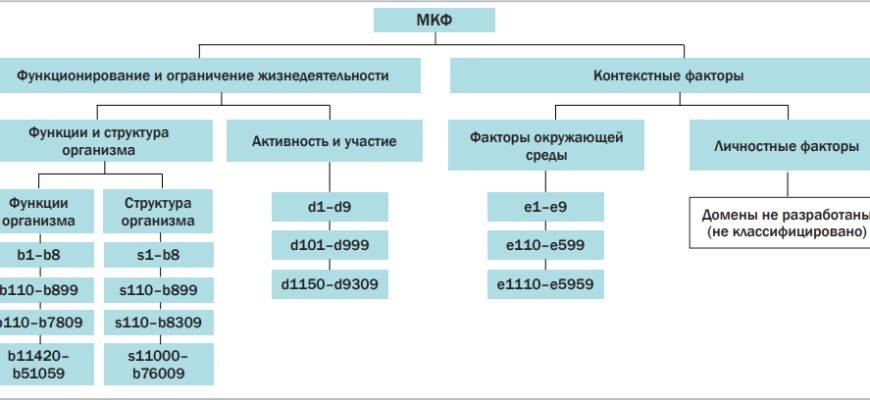 Функциональные тренировки для людей с ограниченными возможностями⁚ путь к независимости и улучшению качества жизни