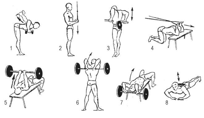 Методы повышения выносливости в гимнастических упражнениях