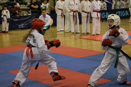 Обучение технике защиты в тхэквондо⁚ блоки, уклоны, контратаки