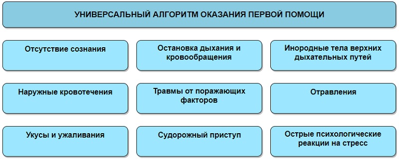 Оказание первой помощи при травмах головы и шеи⁚ руководство к действию