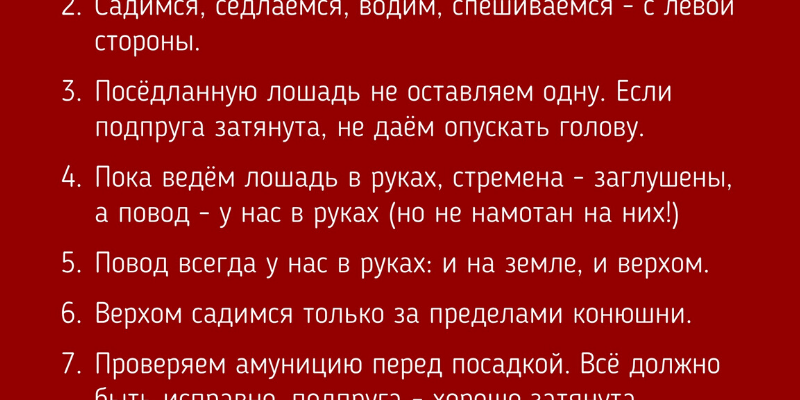 Основы биомеханики лошади и её влияние на технику верховой езды