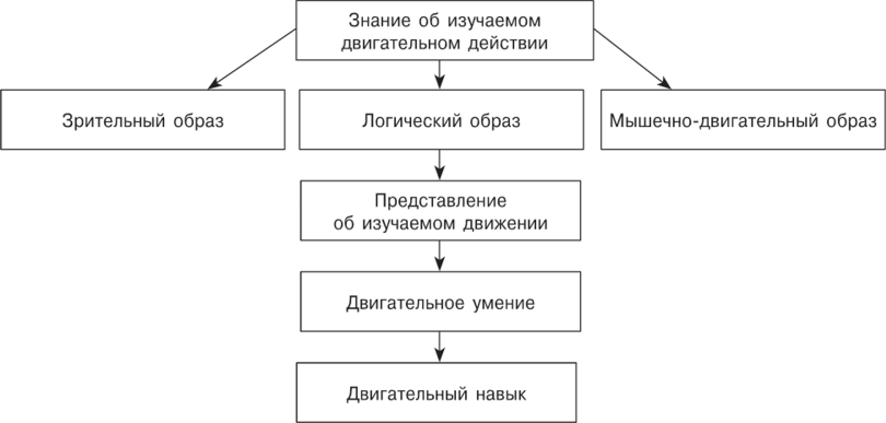Освоение опорных элементов на брусьях⁚ методика и прогрессия сложности 7 Освоение опорных элементов на брусьях⁚ методика и прогрессия сложности