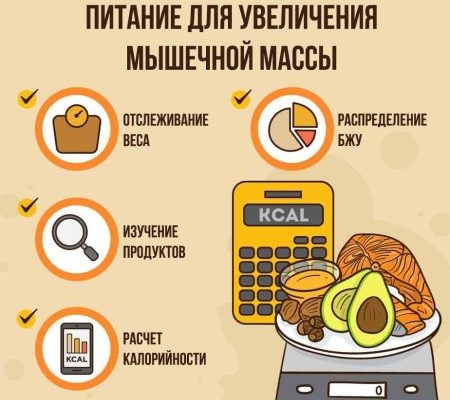 Питание для ушуистов⁚ поддерживая тело и дух 2 Питание для ушуистов⁚ поддерживая тело и дух