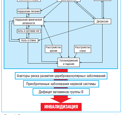 Питание и физическая активность⁚ синергия для здорового старения
