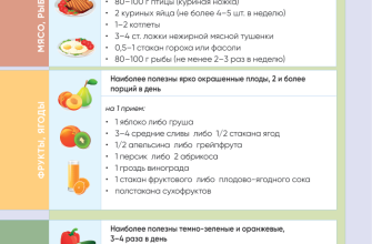 Питание в велопутешествии⁚ обеспечение энергией и правильный рацион