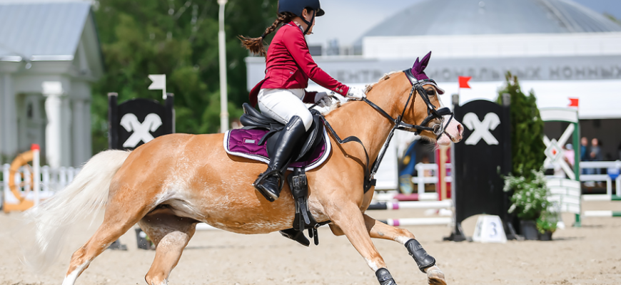 Пони-спорт⁚ увлекательный мир конного спорта для детей