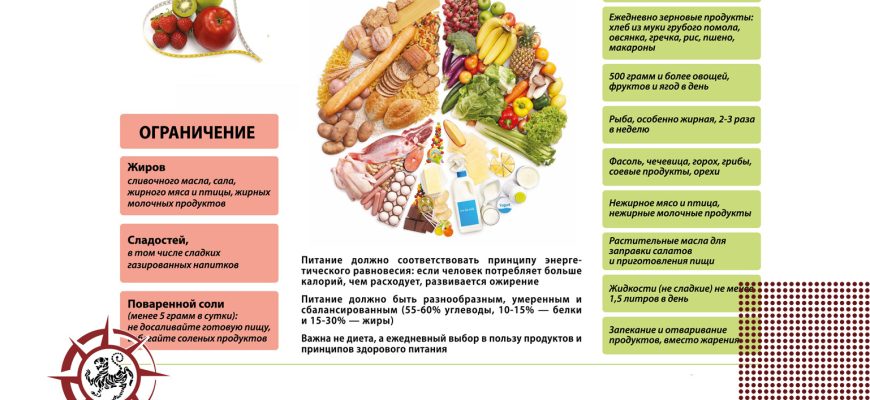 Правильное питание и режим для начинающих спортсменов⁚ Путеводитель к успеху