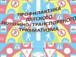 Профилактика травматизма в верховой езде⁚ средства индивидуальной защиты