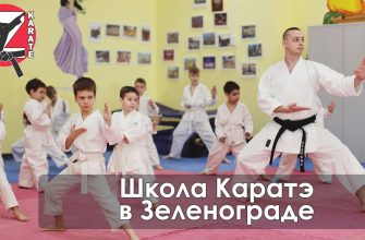 Психологическая составляющая тренировочного процесса в карате 9 Психологическая составляющая тренировочного процесса в карате