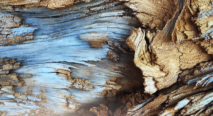 Психологические аспекты бодибилдинга⁚ мотивация, стресс и самодисциплина