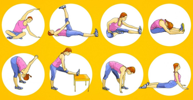 Развитие гибкости позвоночника с помощью статических упражнений 2 Развитие гибкости позвоночника с помощью статических упражнений