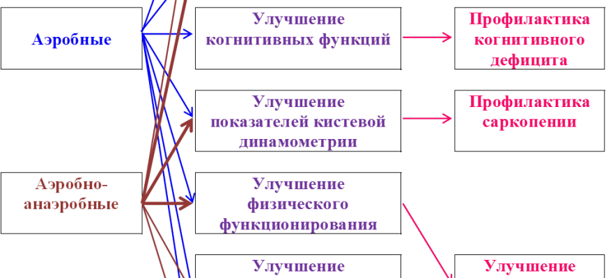 Роль физической активности в улучшении когнитивных функций у пожилых людей