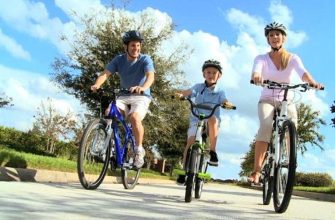 Роль социальной поддержки в поддержании мотивации к занятиям спортом 1 Роль социальной поддержки в поддержании мотивации к занятиям спортом