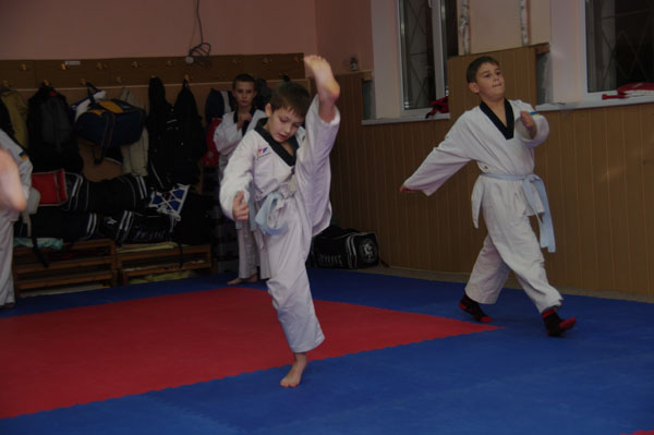 Современные методики повышения гибкости и эластичности в дзюдо 2 Современные методики повышения гибкости и эластичности в дзюдо