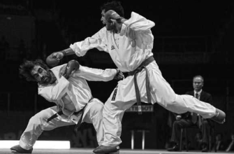 Современные методики тренировки кумите в карате