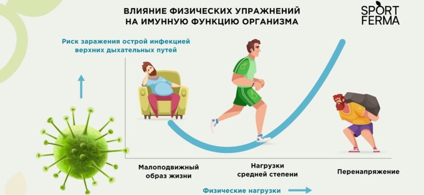 Спортивное питание и его влияние на продолжительность жизни