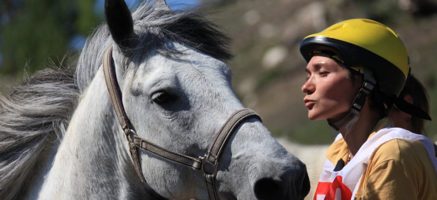 Техника безопасности при работе с лошадью⁚ на земле и в седле