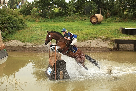 Троеборье⁚ Вызов для всадника и лошади 1 Троеборье⁚ Вызов для всадника и лошади