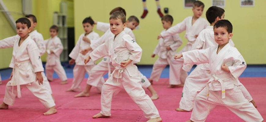 Влияние ката на совершенствование боевых навыков карате