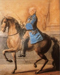 Влияние правильной техники управления поводьями на биомеханику лошади