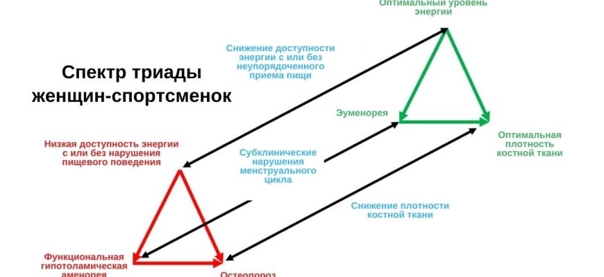 Влияние спортивного питания на гормональный баланс