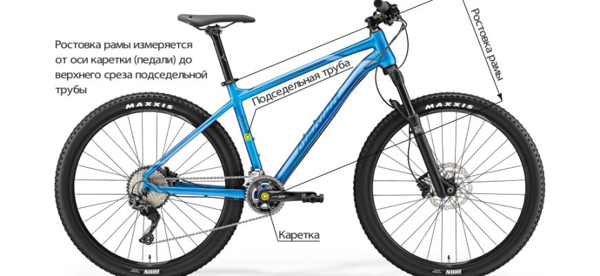 Выбор оптимального времени года для велотуризма 1 Выбор оптимального времени года для велотуризма